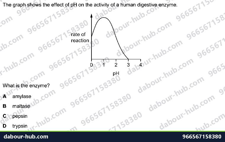 IGCSE Biology 7.4 Chemical Digestion - Question 3