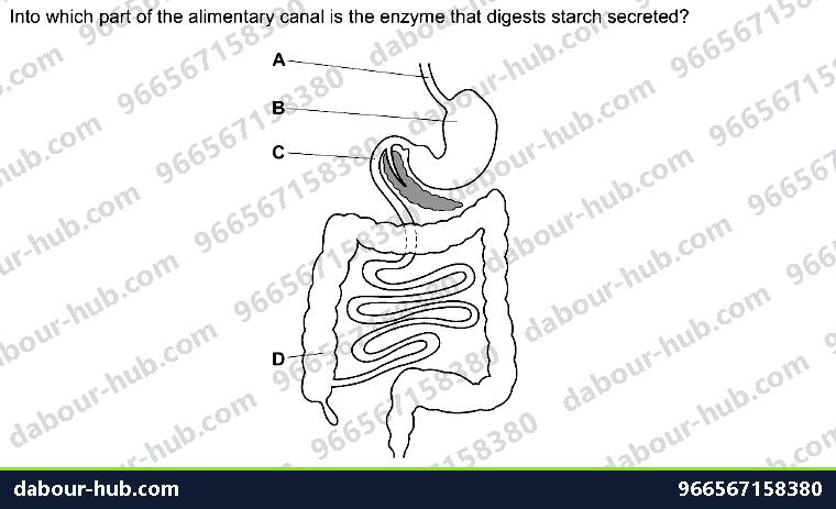 IGCSE Biology 7.4 Chemical Digestion - Question 7