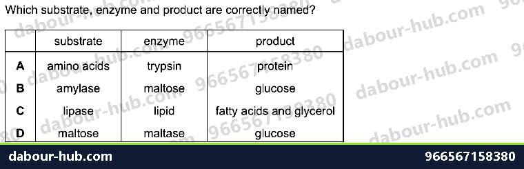 IGCSE Biology 7.4 Chemical Digestion - Question 8