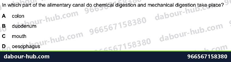 IGCSE Biology 7.4 Chemical Digestion - Question 9