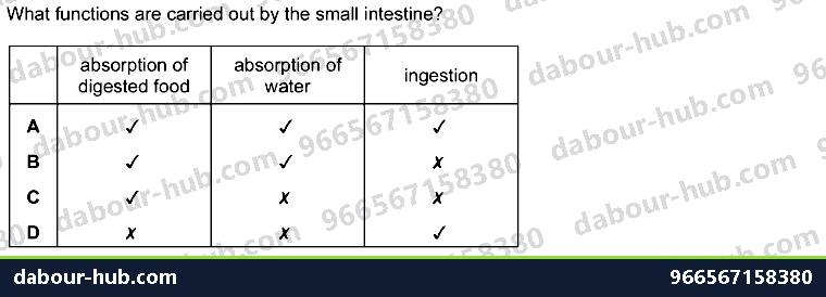 IGCSE Biology 7.5 Absorption - Question 3