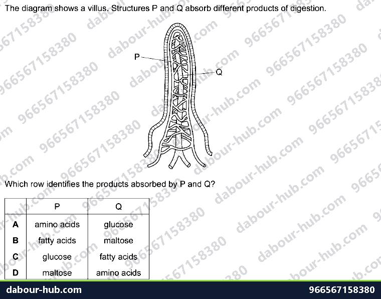 IGCSE Biology 7.5 Absorption - Question 4