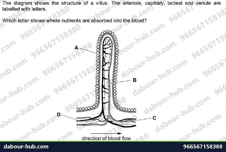 IGCSE Biology 7.5 Absorption - Question 7