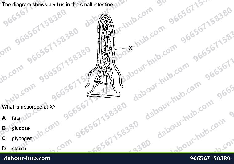 IGCSE Biology 7.5 Absorption - Question 8