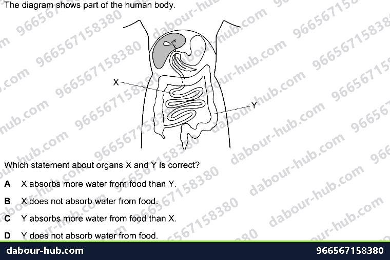 IGCSE Biology 7.5 Absorption - Question 9