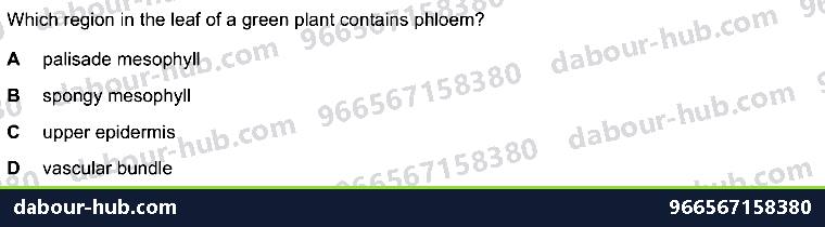 IGCSE Biology 8.1 Xylem and Phloem - Question 10