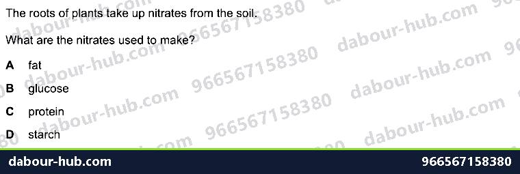 IGCSE Biology 8.2 Water, Mineral Uptake - Question 1