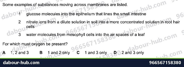 IGCSE Biology 8.2 Water, Mineral Uptake - Question 11