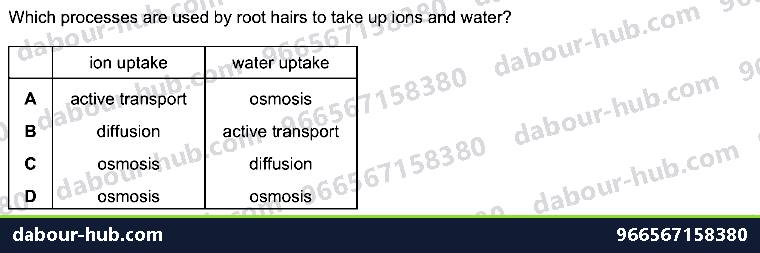 IGCSE Biology 8.2 Water, Mineral Uptake - Question 3