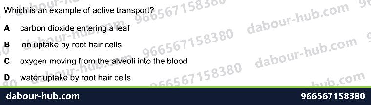 IGCSE Biology 8.2 Water, Mineral Uptake - Question 4