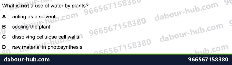 IGCSE Biology 8.2 Water, Mineral Uptake - Question 6