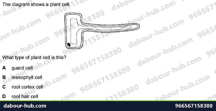 IGCSE Biology 8.2 Water, Mineral Uptake - Question 9
