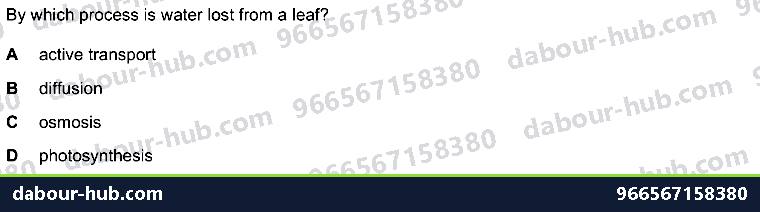 IGCSE Biology 8.3 Transpiration - Question 1