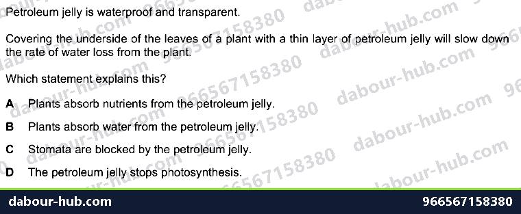 IGCSE Biology 8.3 Transpiration - Question 13