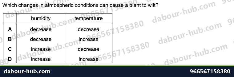 IGCSE Biology 8.3 Transpiration - Question 6