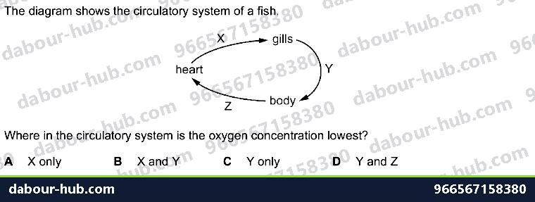 IGCSE Biology 9.1 Circulatory Systems - Question 11