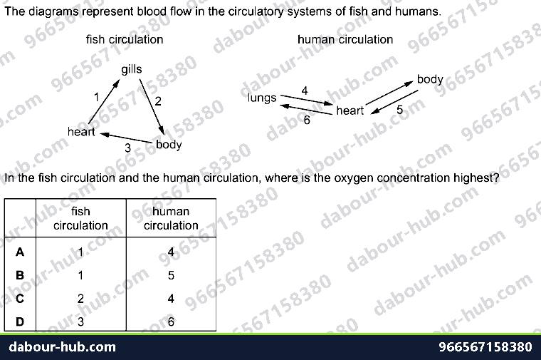 IGCSE Biology 9.1 Circulatory Systems - Question 12