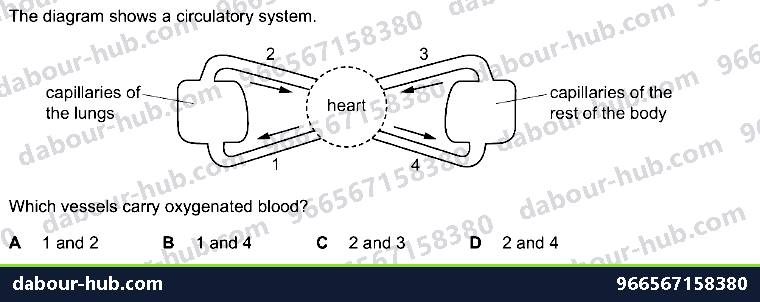 IGCSE Biology 9.1 Circulatory Systems - Question 4