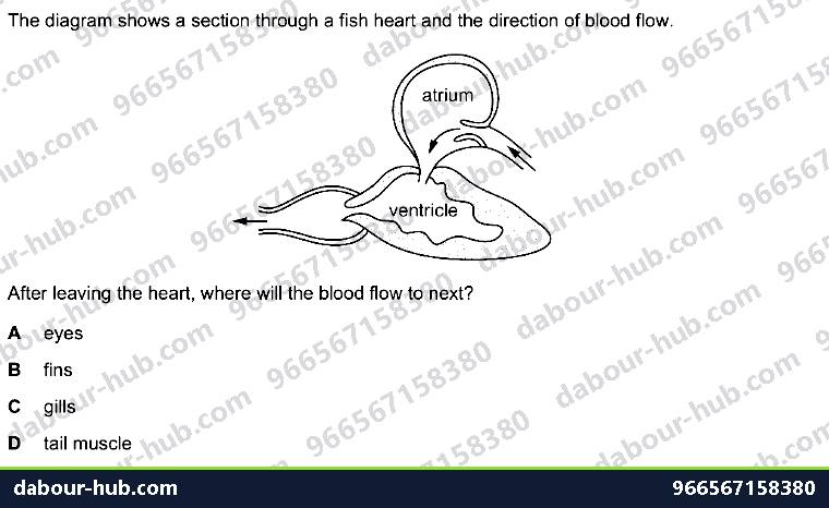 IGCSE Biology 9.1 Circulatory Systems - Question 5
