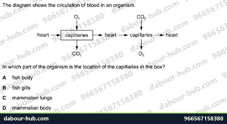 IGCSE Biology 9.1 Circulatory Systems - Question 9