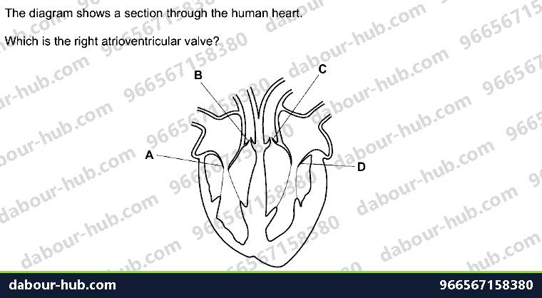 IGCSE Biology 9.2 Heart - Question 1