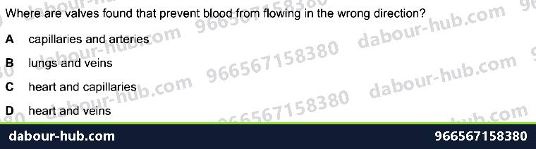 IGCSE Biology 9.2 Heart - Question 11