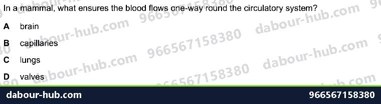 IGCSE Biology 9.2 Heart - Question 13