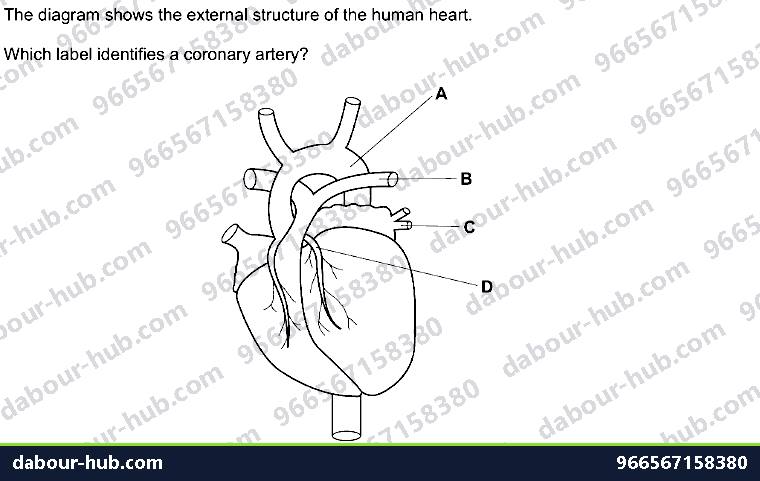 IGCSE Biology 9.2 Heart - Question 15