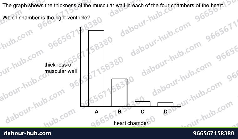 IGCSE Biology 9.2 Heart - Question 4