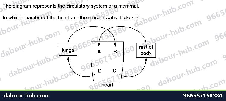 IGCSE Biology 9.2 Heart - Question 7