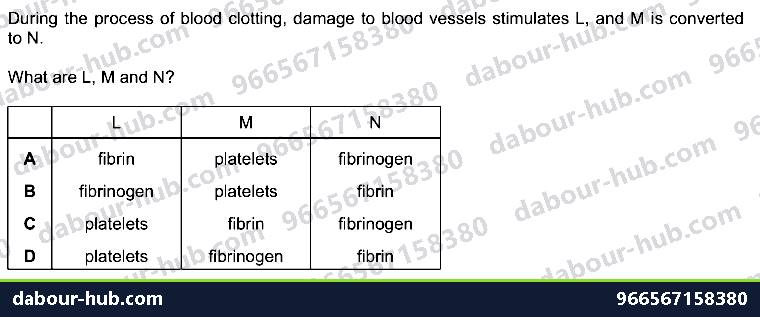 IGCSE Biology 9.4 Blood - Question 9