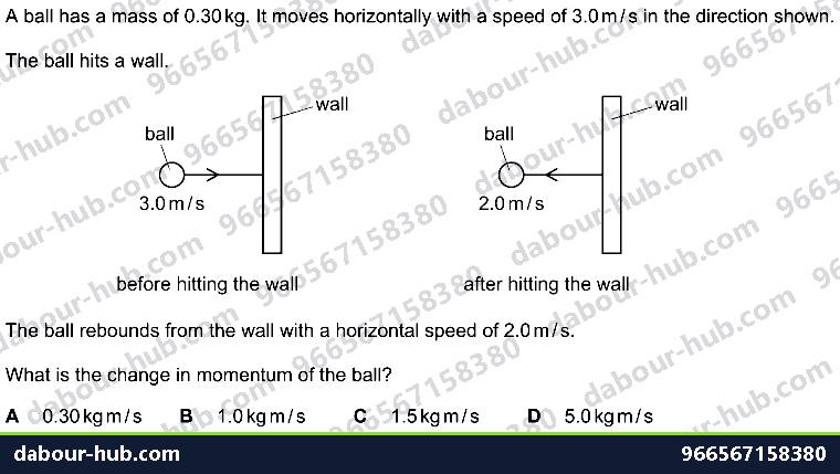 IGCSE Physics 1.6 MOMENTUM - Question 10