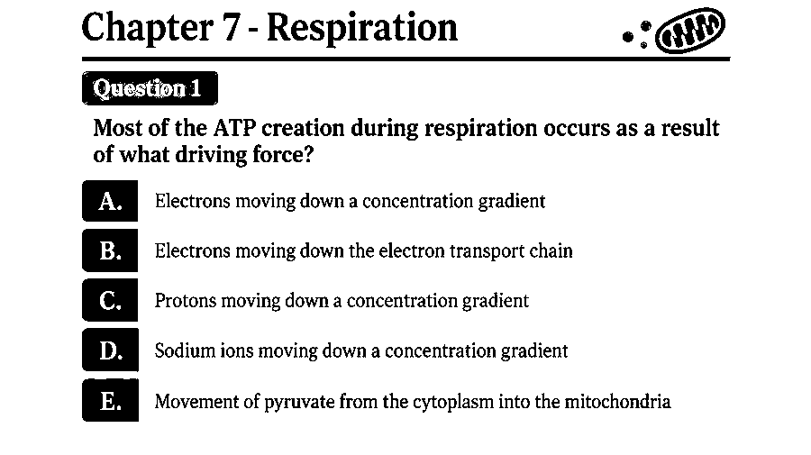 Most of the ATP creation during respiration occurs as a result of what driving force?