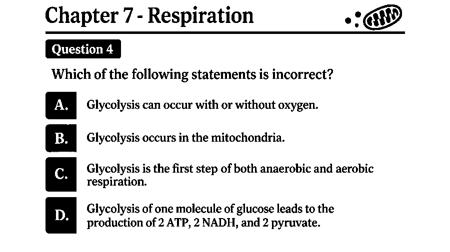 Which of the following statements is incorrect?