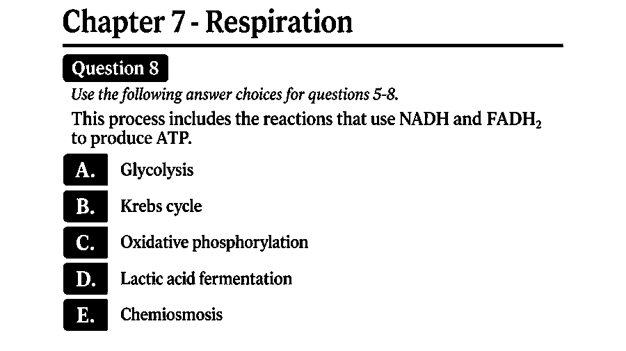 This process includes the reactions that use NADH and FADH2 to produce ATP.