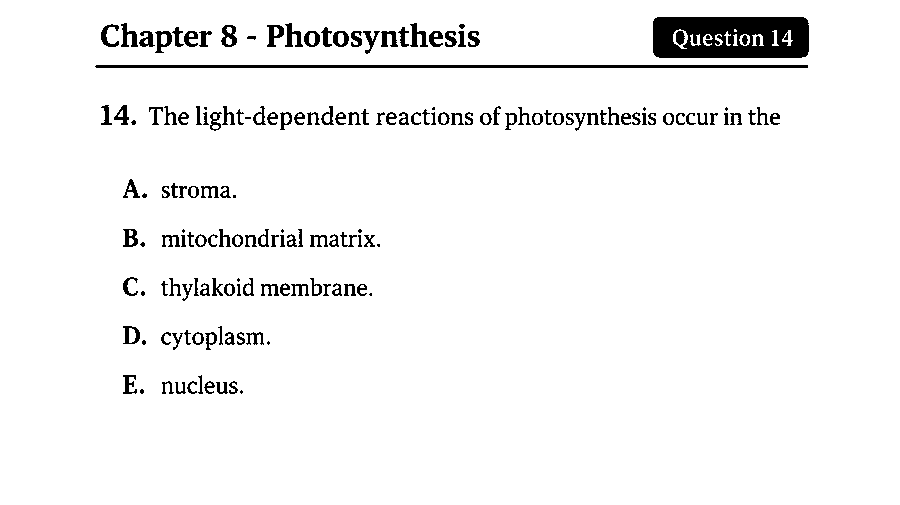 The light-dependent reactions of photosynthesis occur in the