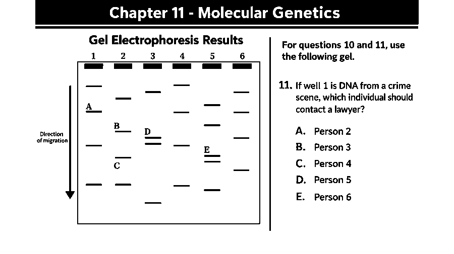 If well 1 is DNA from a crime scene, which individual should contact a lawyer? (see the figure)