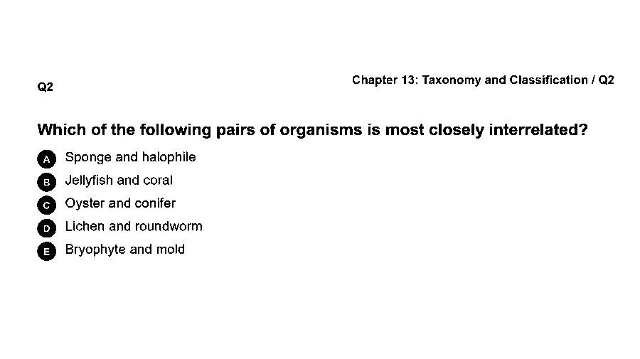 Which of the following pairs of organisms is most closely interrelated?
