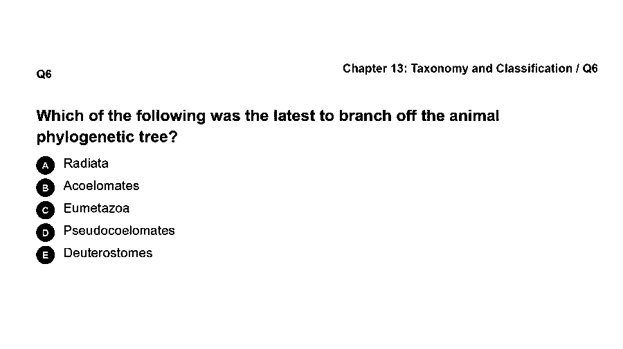 Which of the following was the latest to branch off the animal phylogenetic tree?