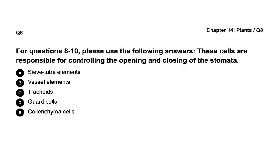 These cells are responsible for controlling the opening and closing of the stomata.
