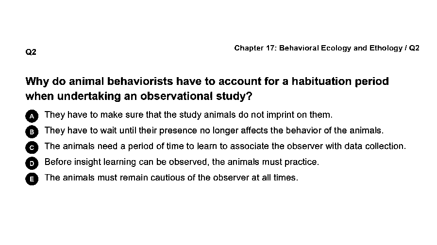 Why do animal behaviorists have to account for a habituation period when undertaking an observational study?