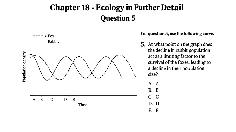 At what point on the graph does the decline in rabbit population act as a limiting factor to the foxes? (see the figure)