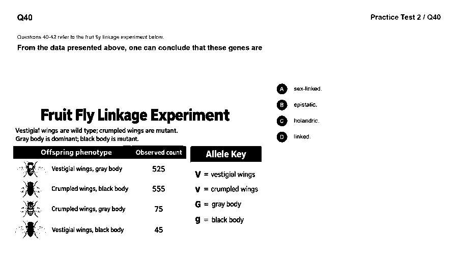 From the fruit fly linkage data presented, one can conclude that these genes are (see the figure)