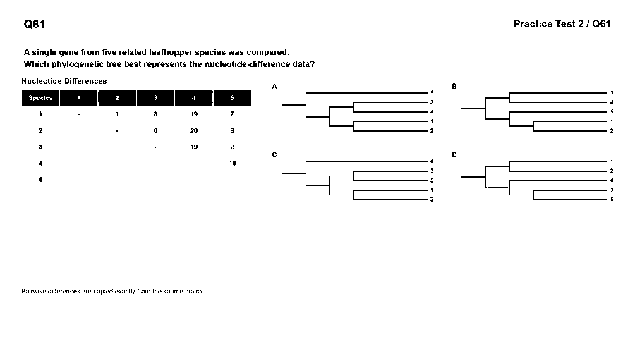 A single gene from five related leafhopper species was compared. Which phylogenetic tree best represents the data? (see the figure)