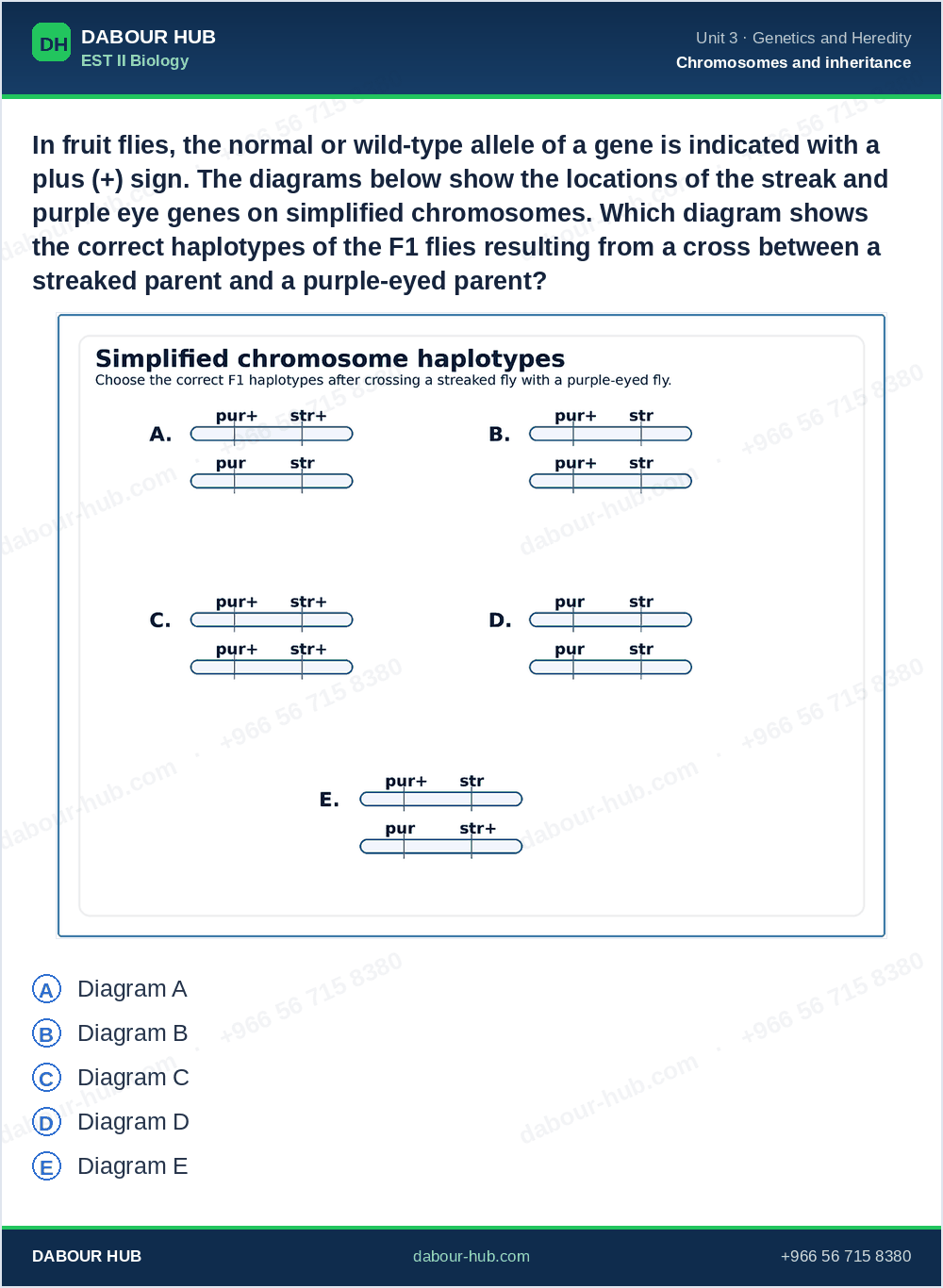 SAT Biology - Question 260